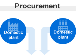 Procurement Domestic plant